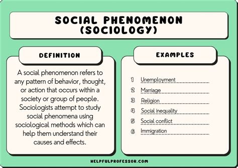 Investigating Social Phenomena: A Primer for Field Research - Unlocking the Mysteries of Society Through Lived Experiences!