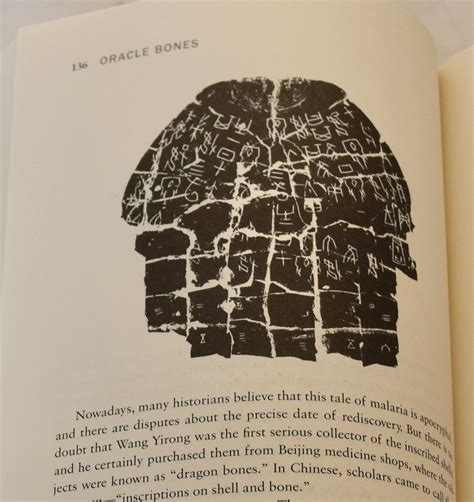  Oracle Bone Scripture: A Journey Through Ancient Filipino Mysticism and Beauty?